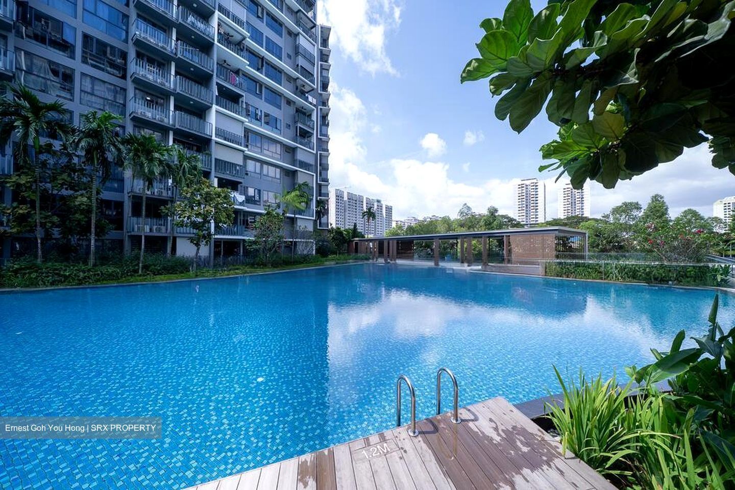 Grandeur Park Residences (D16), Condominium #525718951